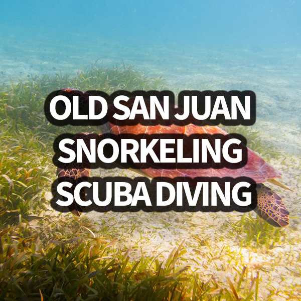 Old San Juan Snorkeling & Scuba Diving